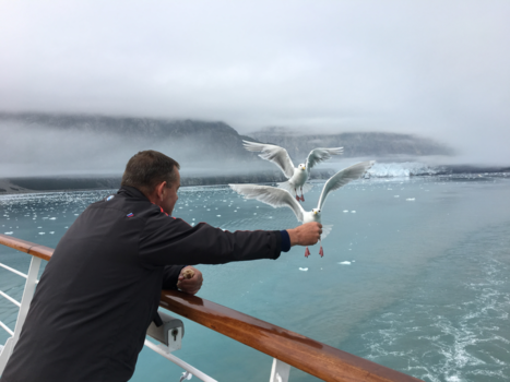 Alaska - Glacier Bay Flying Birth’s