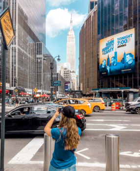 New York - Surviving in the urban jungle