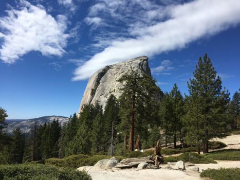 Yosemite National Park - Wat een hoogtepunt!
