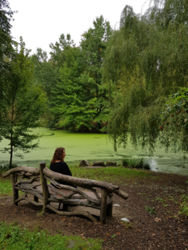 New York - Oase van rust in miljoenen stad