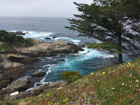 Highway 1 (Amerika) - Highway 1