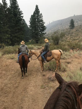 Rocky Mountains - Cowboytje spelen in west-Amerika