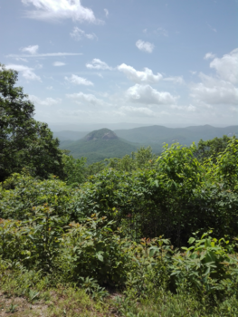 Great Smoky Mountains National Park - The Smokey's