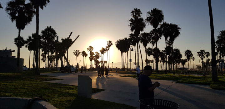 Venice Beach - No words needed