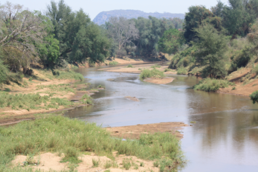 South Dakota - Limpopo - Zuid Afrika . 7 weken vrijwillegerswerk in Aldays .