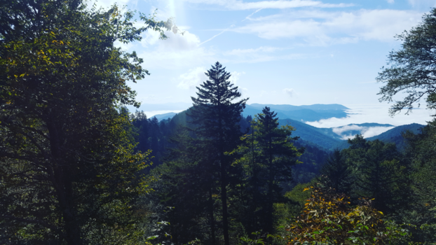 Great Smoky Mountains National Park - Great Smoky Mountains, Tennessee, USA