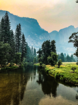 Yosemite National Park - Lost in the beauty of nature