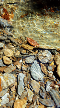 Rondreis door Native America - Smoky Mountain river