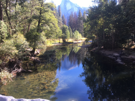 Rondreis Westkust Amerika - Prachtige natuur Yosemite