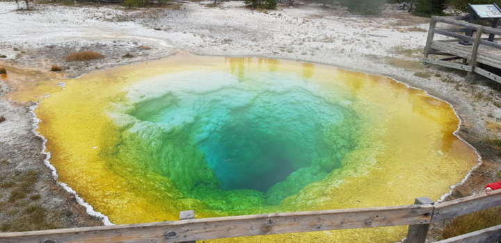 Yellowstone National Park - Coulorful faithfull