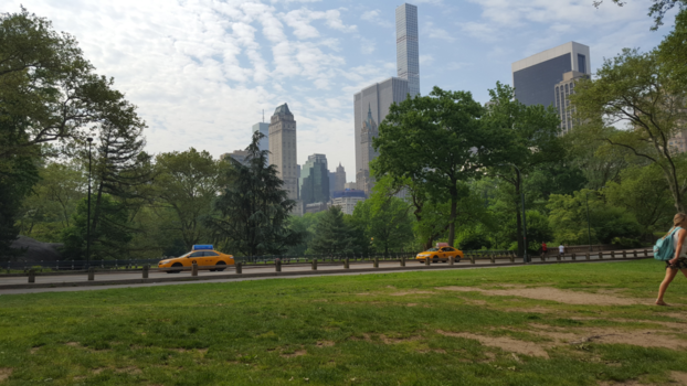 New York - Central park