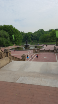 New York - Central park