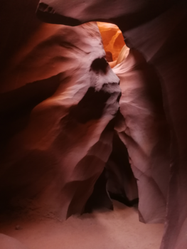 Antelope Canyon - Leeuw in het zand