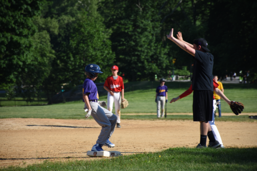 New York - Baseball in Central Park