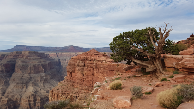 Nevada - Eagle point Grand Canyon