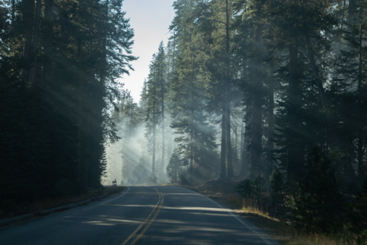 Yosemite National Park - To the unknown