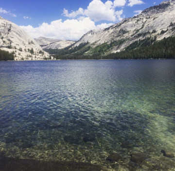 California - Yosemite national park