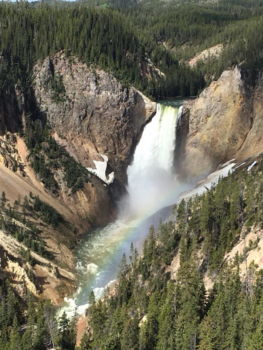 Yellowstone National Park - Upper Falls