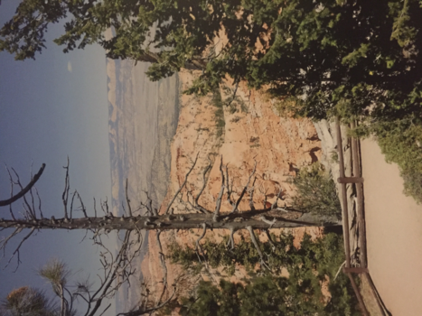 Bryce Canyon National Park - Beautifull vieuw