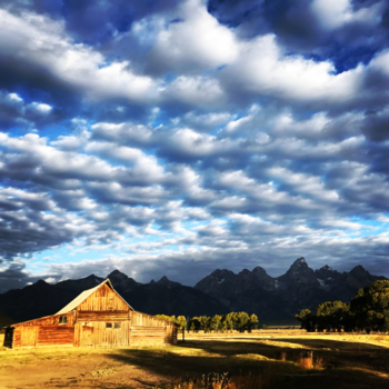 Arizona - Zomaar een ochtendje in NP Grand Teton