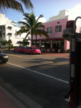 Florida - Breakfast @the big pink