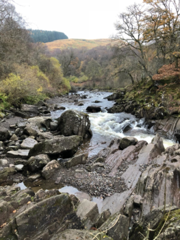 New York - Callander