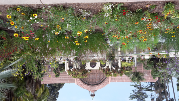 Balboa Park - relaxing