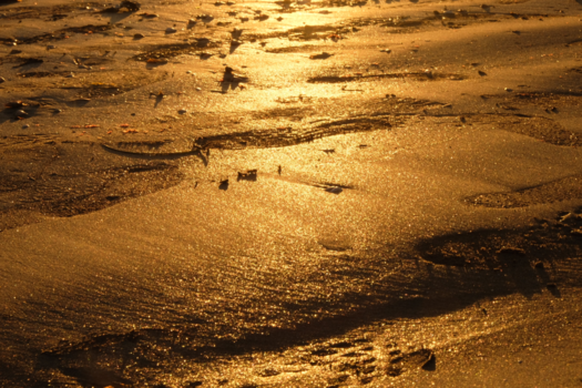 San Diego - Golden beach