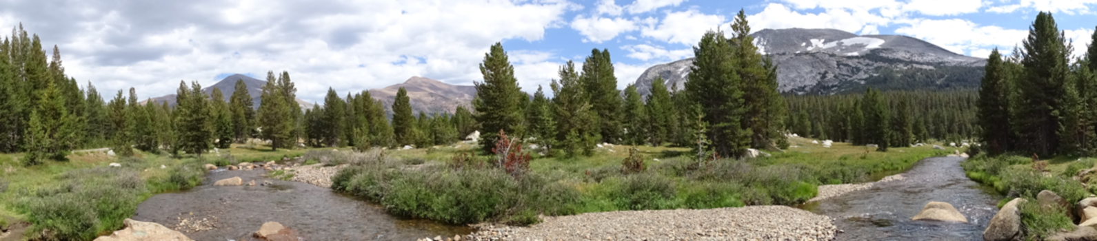 Yosemite National Park - Geweldige ervaring helaas is het niet meer zo door de bosbranden....