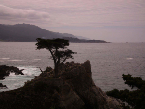 Monterey - 17 Mile Drive California