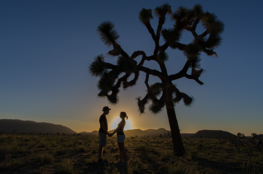 California - California Love