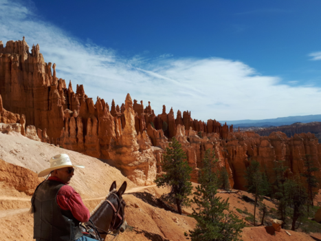 Bryce Canyon National Park - Cowboy