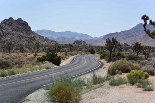 California - de zeer indrukwekkende natuur in Joshua Tree Park