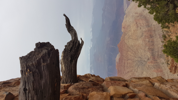 Grand Canyon National Park - View from the rim