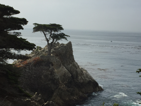 Highway 1 (Amerika) - highway 1