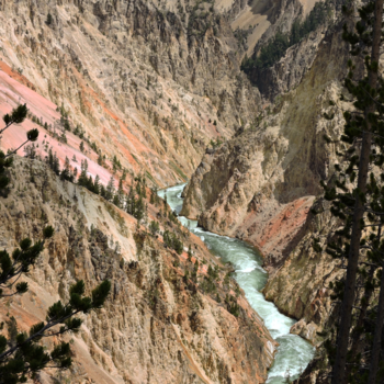 Yellowstone National Park - Grand canyon of the Yellowstone