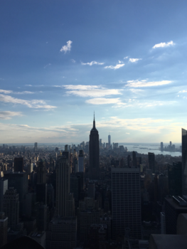 New York - Skyline of Manhattan