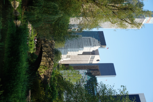 Central Park - Central Park, New York