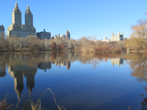New York - Central Park