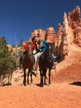 Bryce Canyon National Park - Kusje in Bryce Canyon