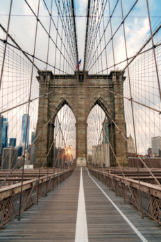 New York - Concrete jungle where dreams are made of