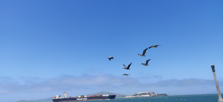 Alcatraz - De vlucht...