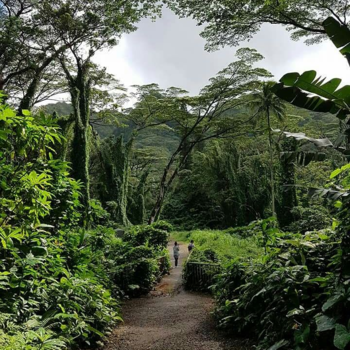 Oahu - Hawaii! een paradijs op aarde