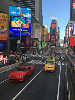 New York - Just a normal day at Time Square