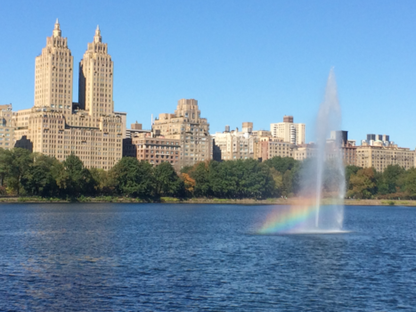 New York - Stads oase