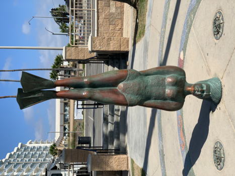 California - Californië dreaming