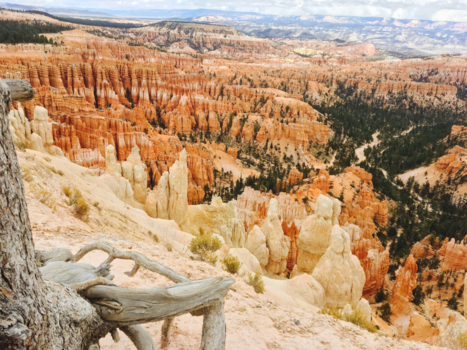 Bryce Canyon National Park - Inspiration Point - Bryce Canyon - Utah USA