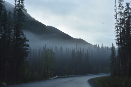 Rocky Mountains - Goedemorgen natuur