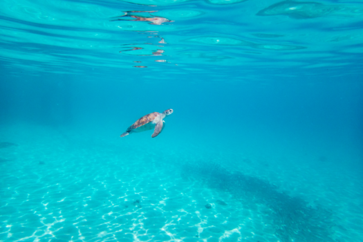 Rondreis Wilde Westen - Alone