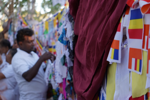 Hollywood - Kleurrijk wit